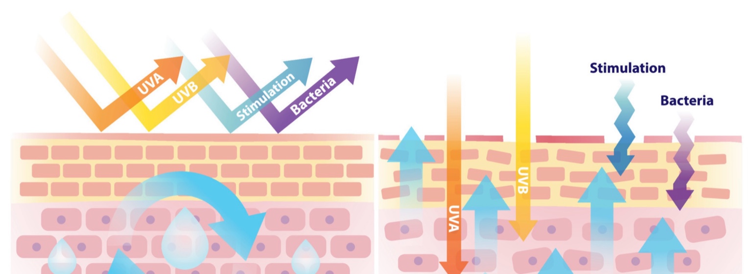 Barrier protecting against UV and bacteria